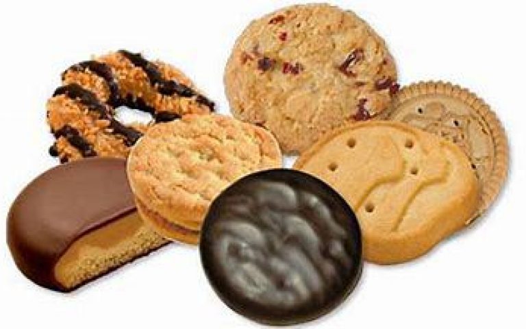 What Girl Scout Cookies Can Teach You about Becoming More Successful