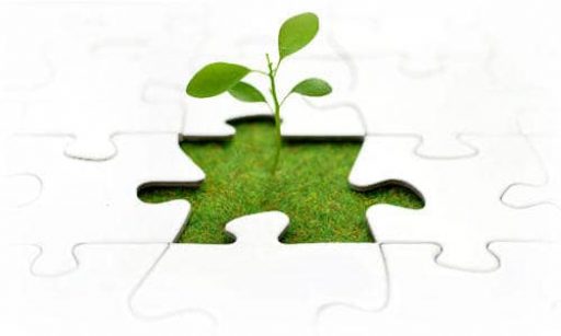 Knowing When to Finance Growth