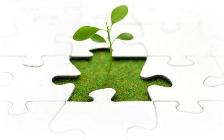 Knowing When to Finance Growth