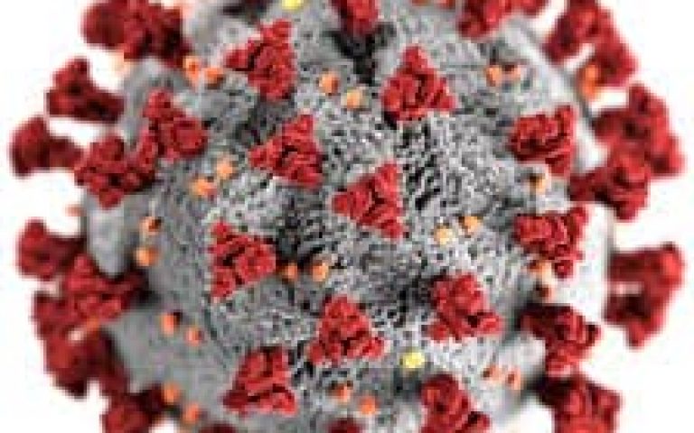Could Something Positive Have Come from the Coronavirus?