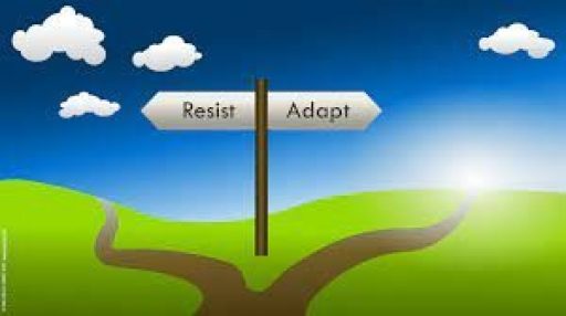 Adapting to the Pandemic – What Comes Next?