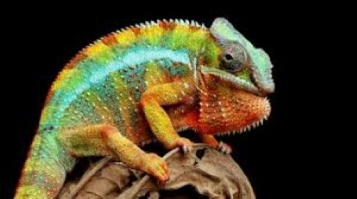 Nothing Ever Stays the Same – Be the Gardener