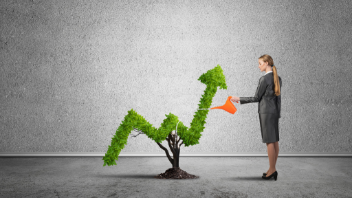 Managing a Rapidly Growing  Small to Medium-Sized Business